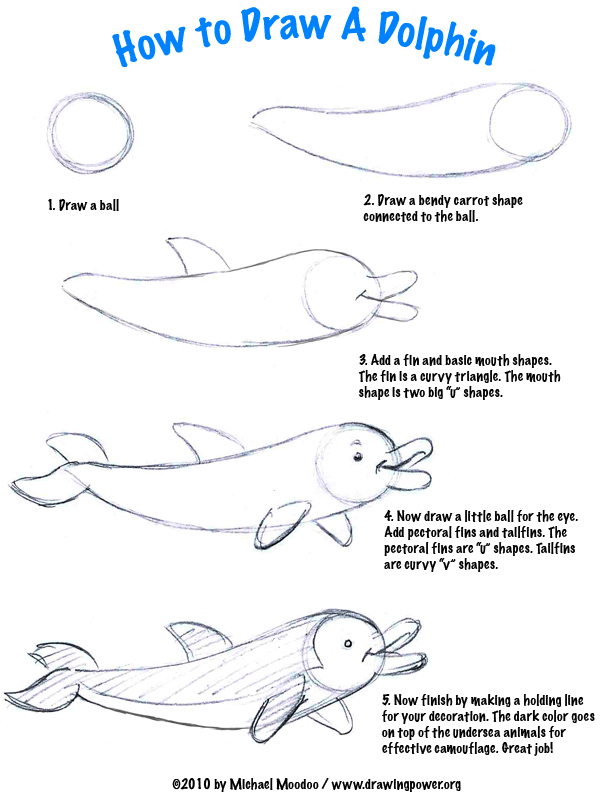 How to Draw - Lesson 01 - How to Draw a Dolphin