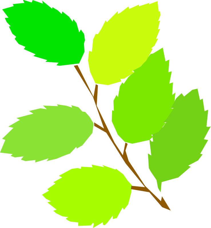 Simple Spring, New Leaves Clip Art Download