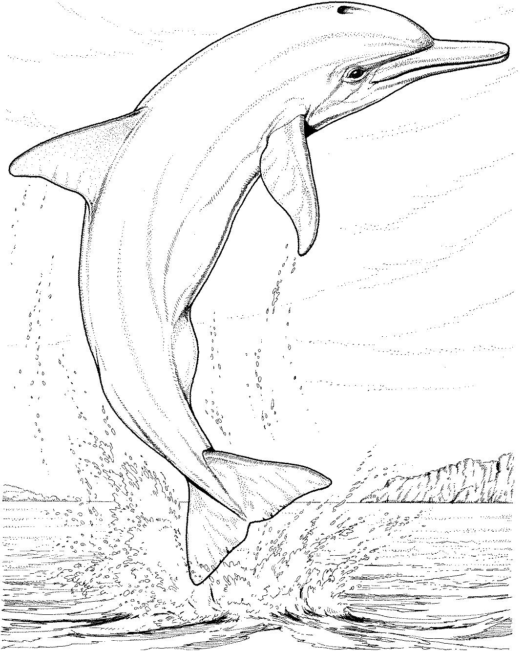 Free Dolphin Coloring Pages | Animal Coloring Pages | Kids ...