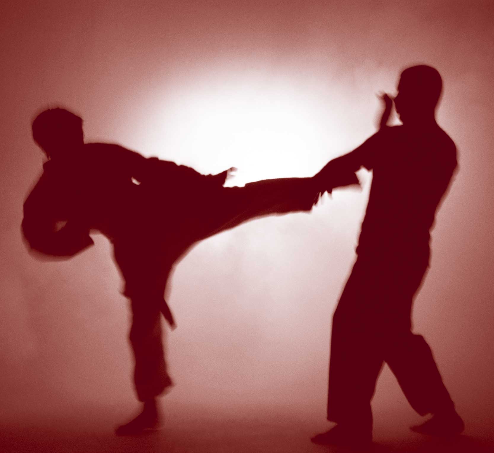 Martial Arts | The Art of Writing