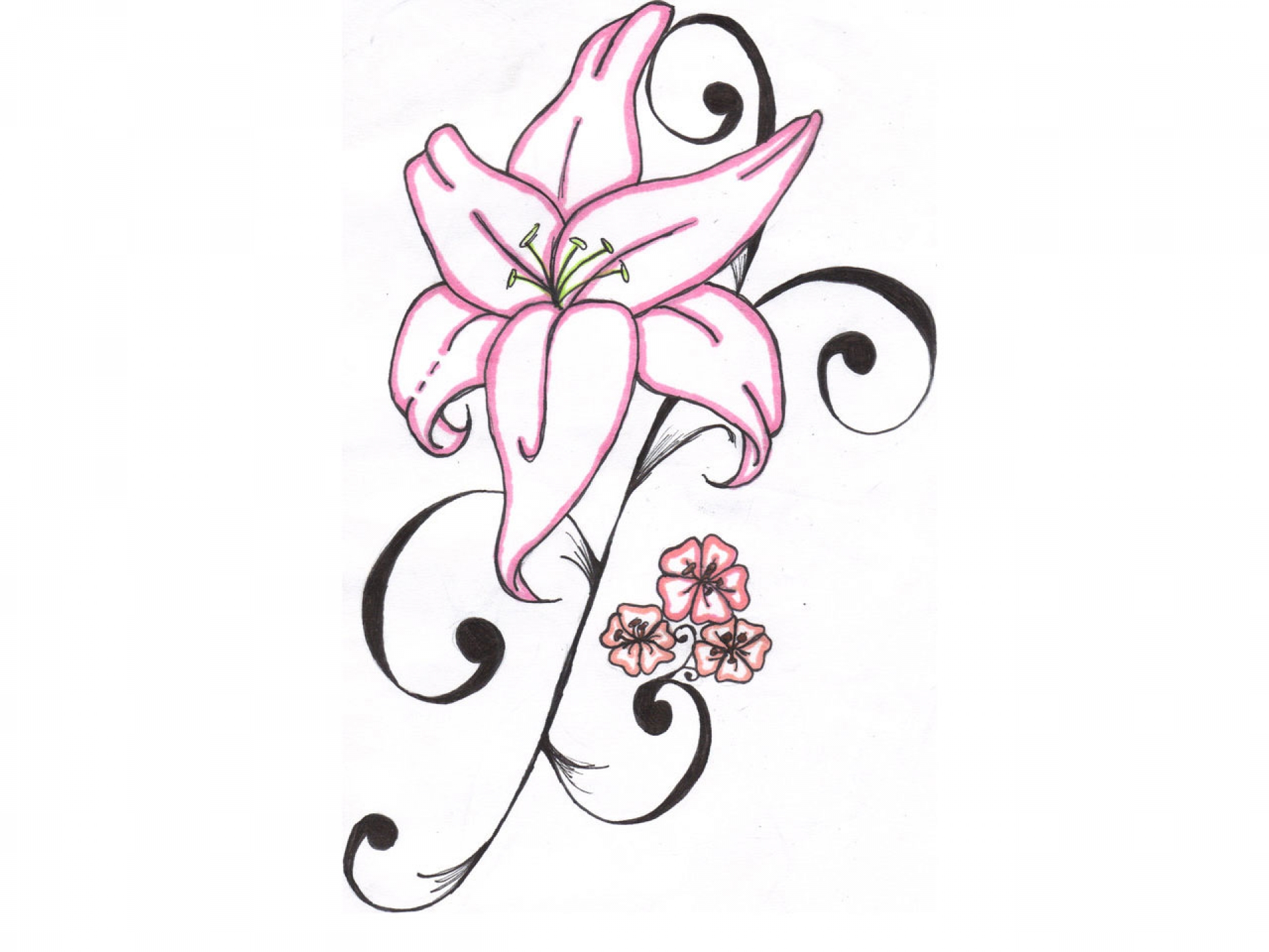 Cartoon Lily Flower - Cliparts.co