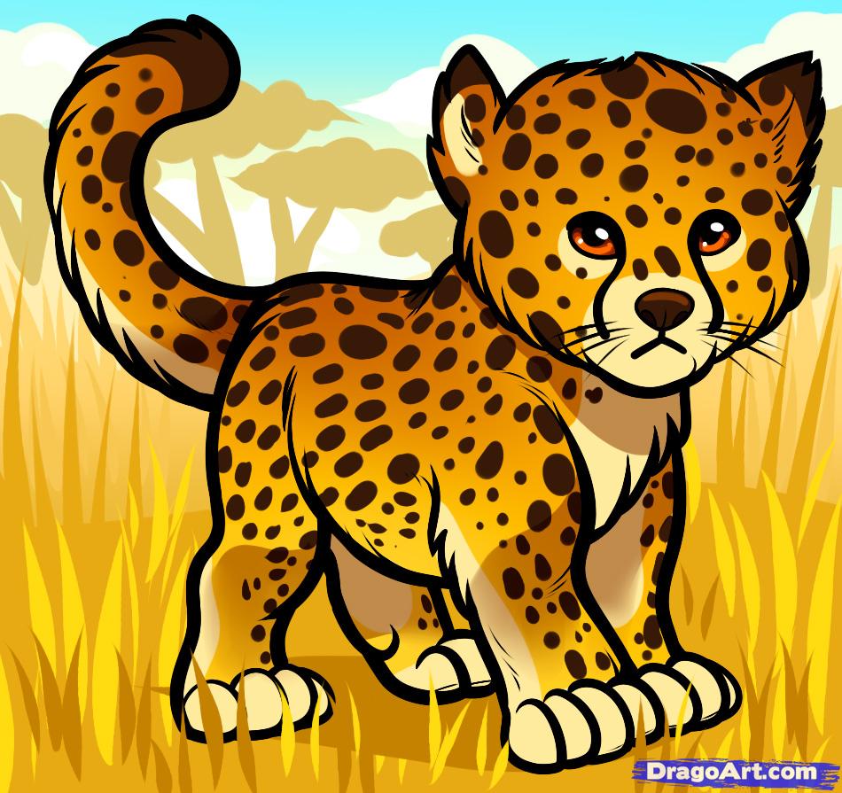 How to Draw a Baby Cheetah, Baby Cheetah, Step by Step, safari ...