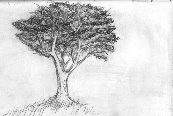 The B-Roll » Archives » Drawing 021 – A Rough Tree