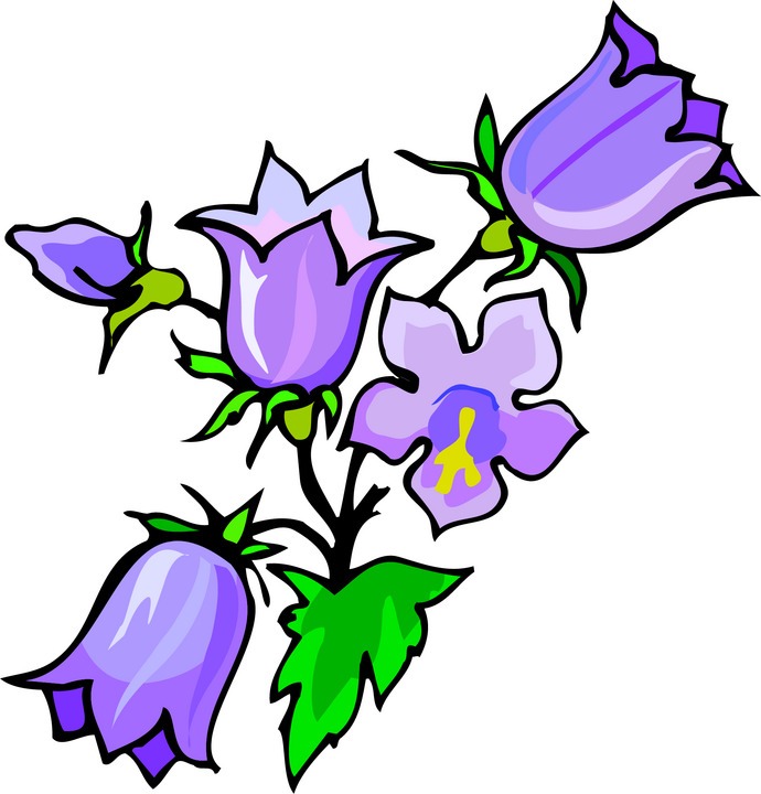 Violet Flower Clipart