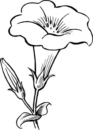 Pix For > Simple Flower Outline Clip Art
