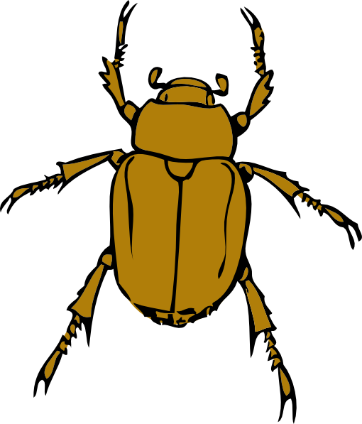 Beetle Bug clip art Free Vector / 4Vector