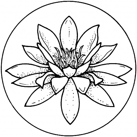 Gallery For > Lily Pad Outline