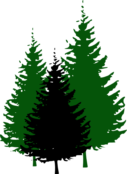 Silhouette Of Evergreen Tree - ClipArt Best