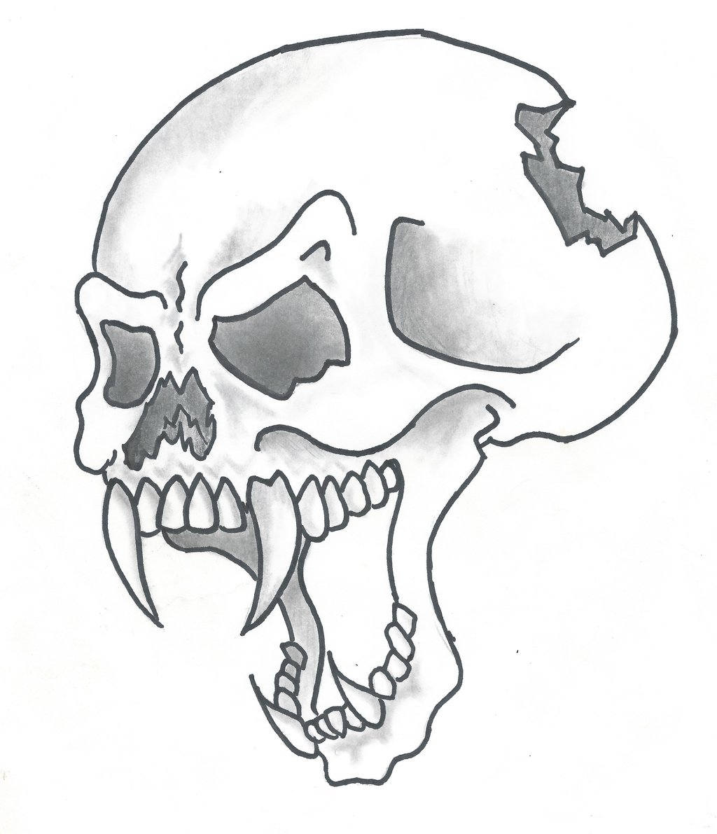 Images For > Vampire Skulls Drawings