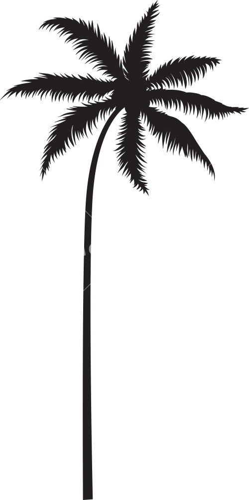 Palm Tree Line Art - Cliparts.co