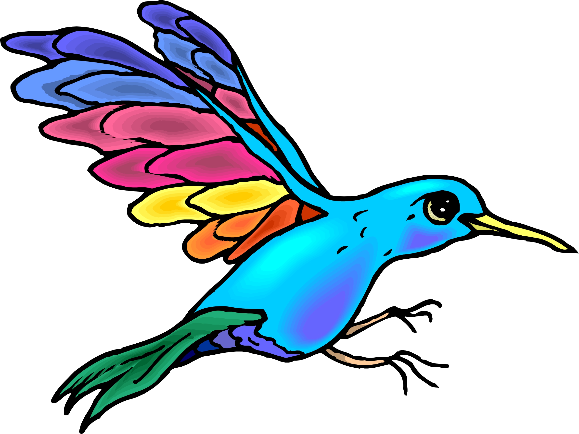 free animated hummingbird clipart - photo #34