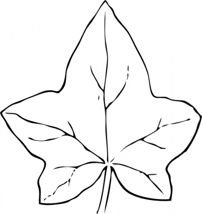 Simple Leaf Outline - ClipArt Best