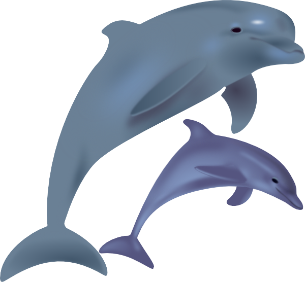 Dolphins clip art - vector clip art online, royalty free & public ...