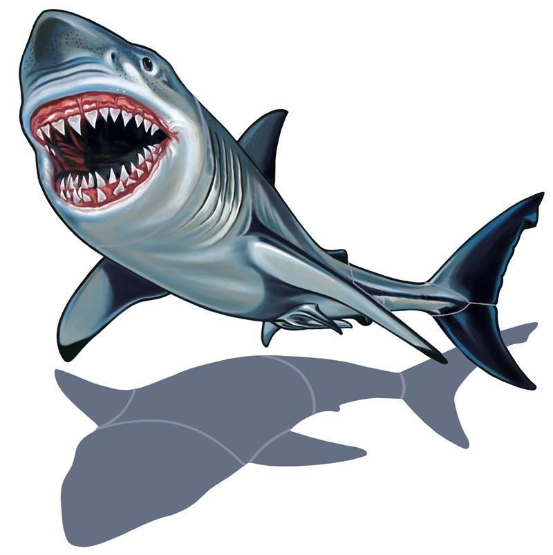 clipart cartoon shark - photo #28