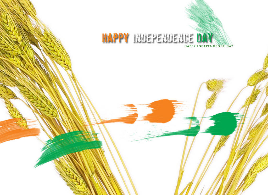 Happy Indian's Independence Day Wallpapers - 15 August 2012 : On ...