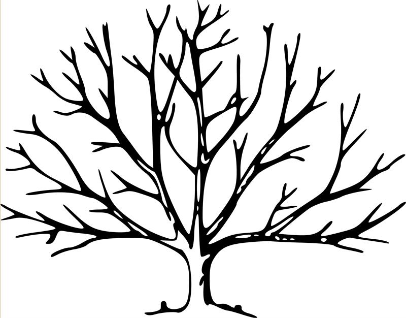 Bare Tree Coloring Page