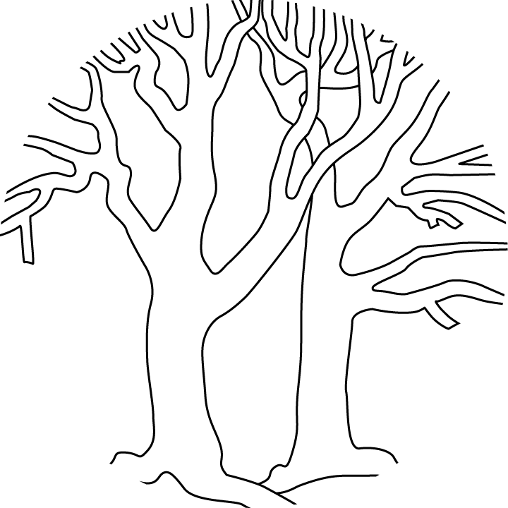 Bare Tree Coloring Page Images & Pictures - Becuo