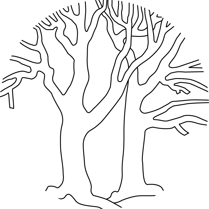 Bare Tree Template Cliparts co