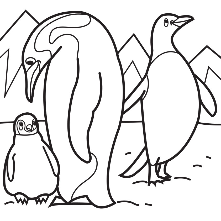 Cute Baby Penguin Coloring