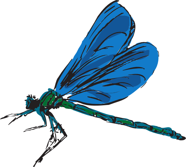 Dragonfly Art Clip art - Animal - Download vector clip art online