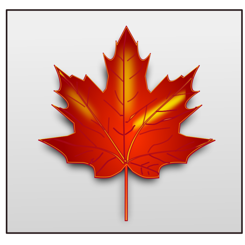 Maple leaf Free Vector / 4Vector