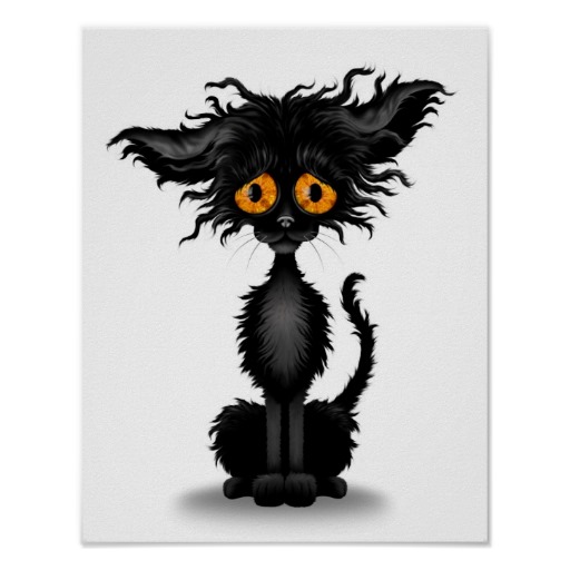 Sad, Cute Scruffy Black Cat Poster | Zazzle
