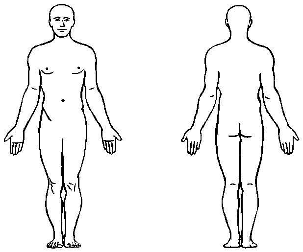 Outline Human Body | Medical Anatomy