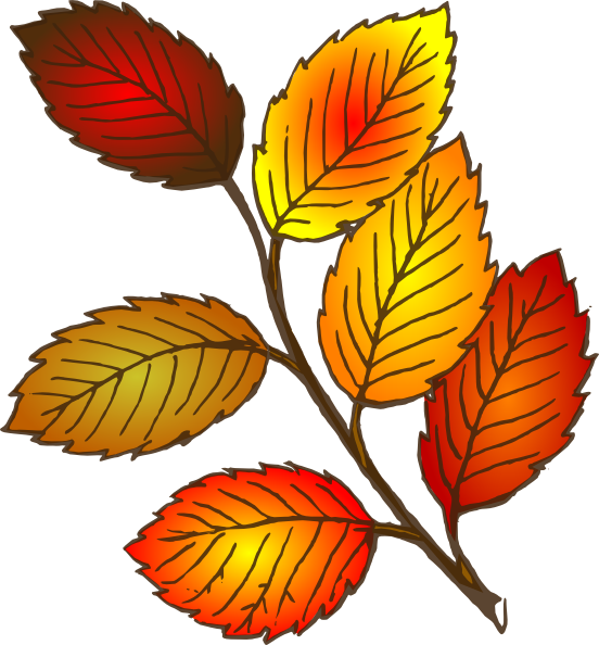 Fall Leaves Clipart | PSD File