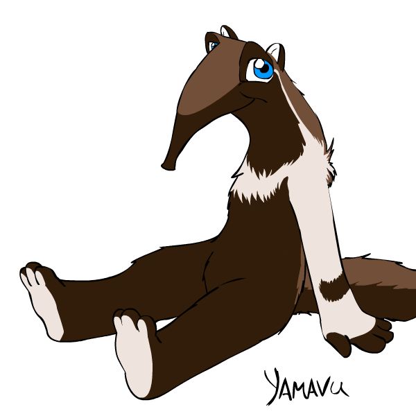 File:Anteater Anthro.jpg - Wikimedia Commons