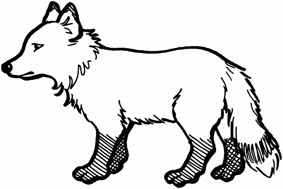 Red Fox 4 Coloring Online Super Coloring 158439 Red Fox Coloring Page