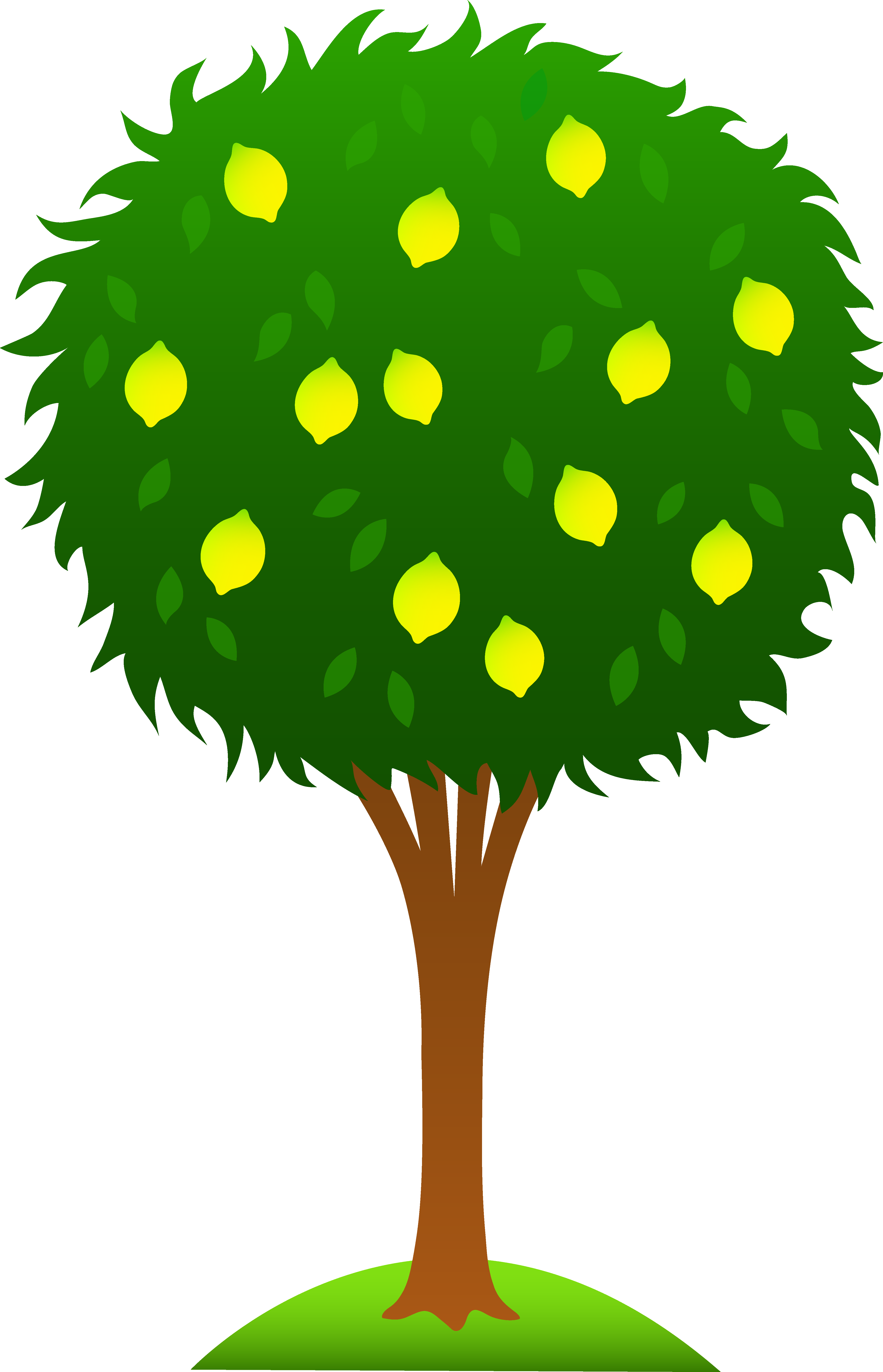 Images For > Cartoon Mango Tree