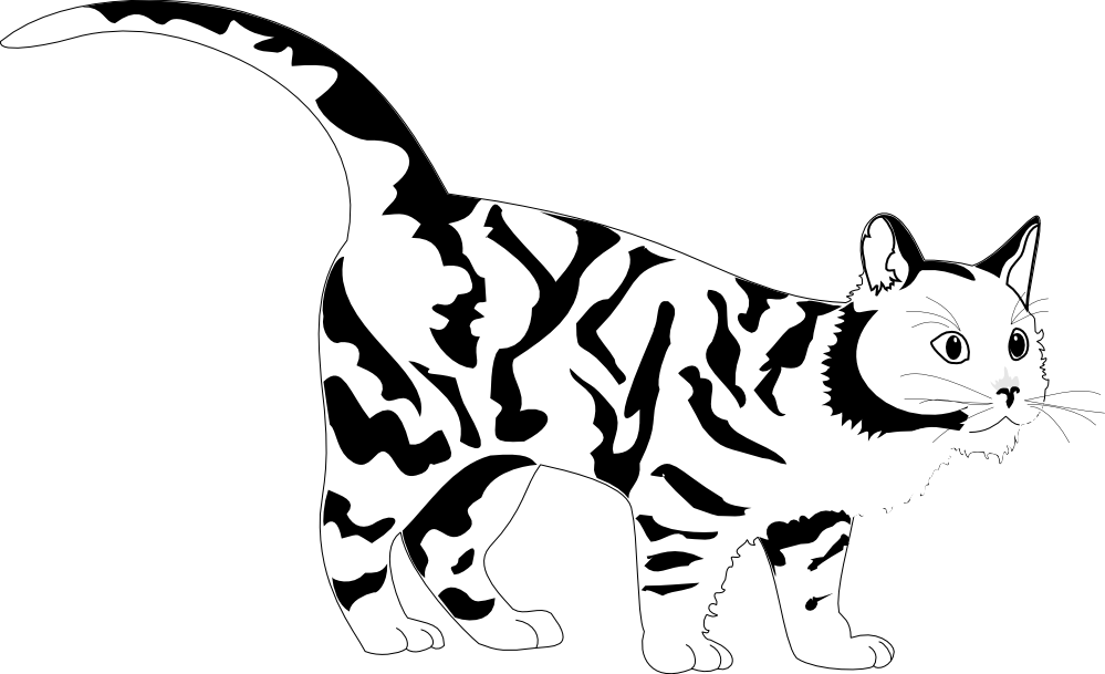 Tiger Cat Black White Line Art Coloring Sheet Colouring Page ...