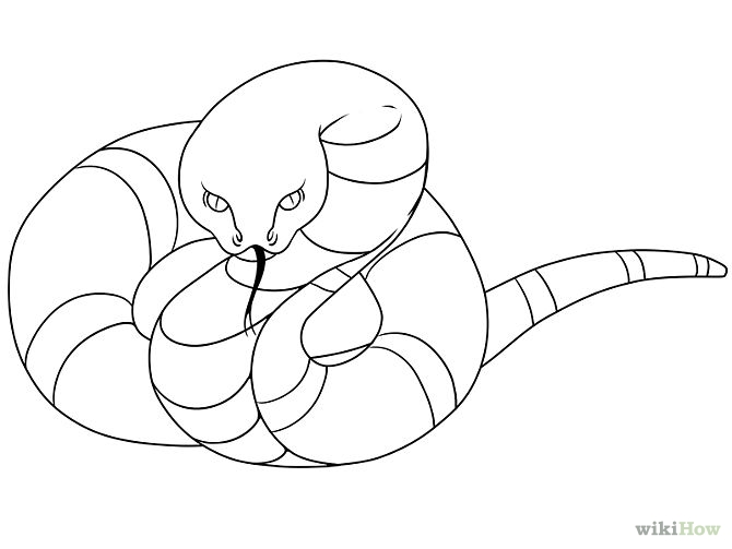 How to Draw a Snake: 15 Steps (with Pictures) - wikiHow