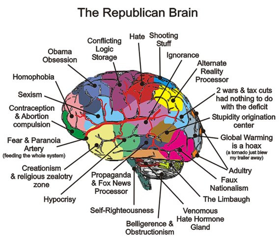 The Republican Brain Diagram & How It Works. | POLITUSIC