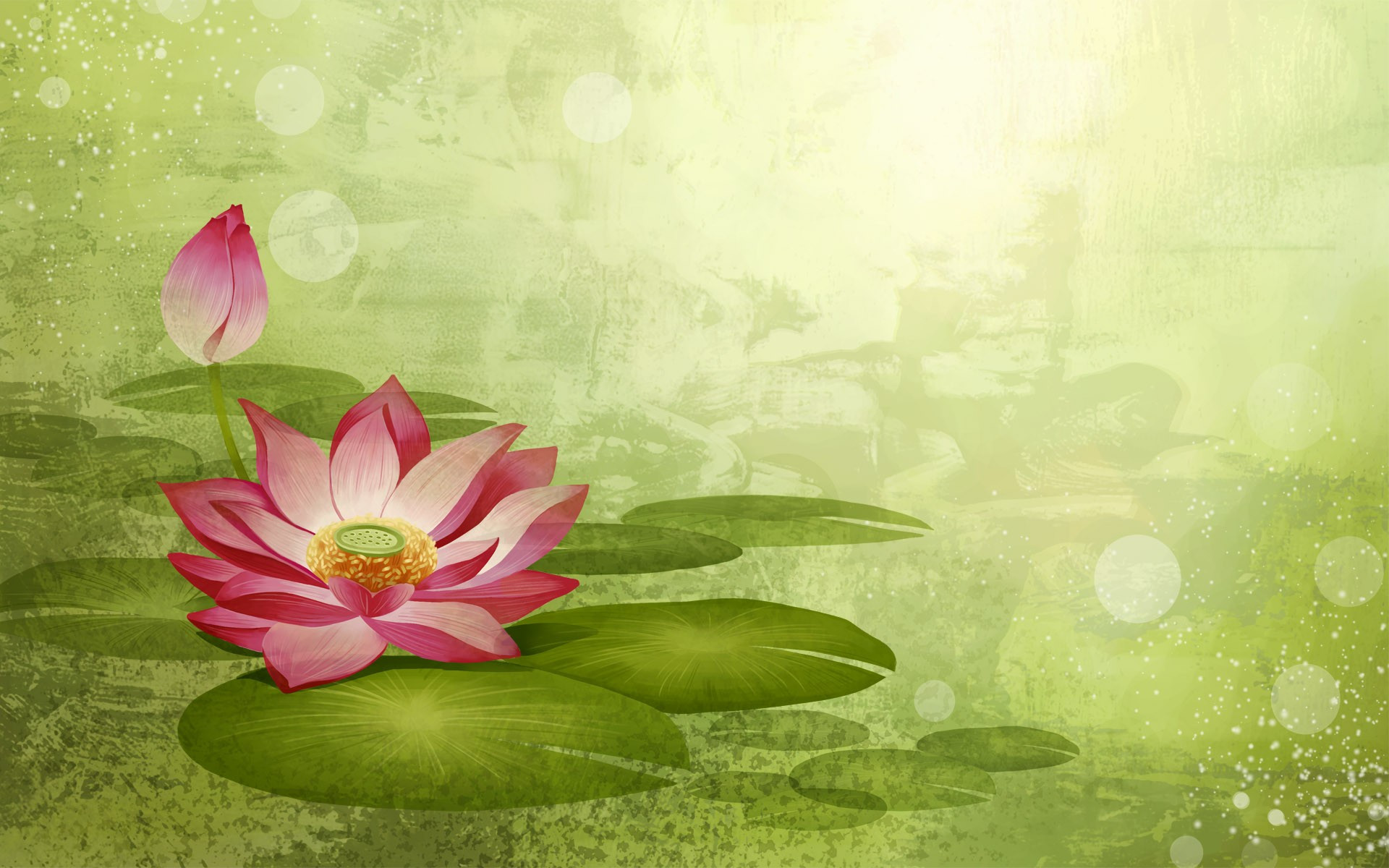 Lotus Flower Drawing Picture Wallpaper - Gallery Wallpaper ...