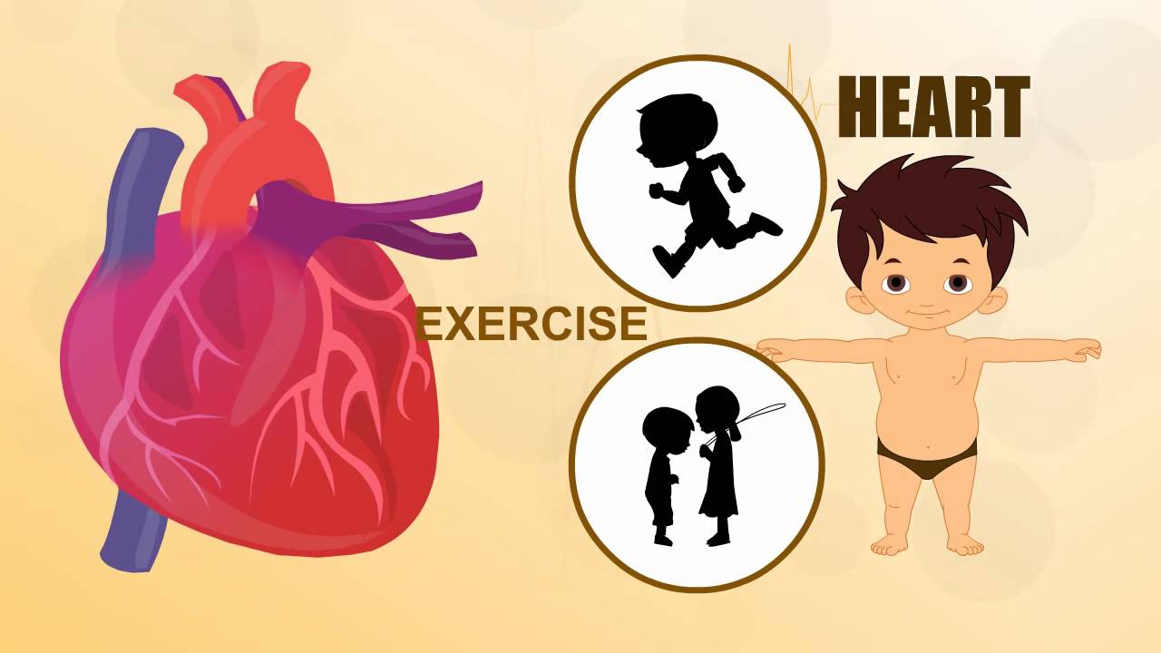 Heart - Human Body Parts - Pre School - Animated Videos For Kids ...