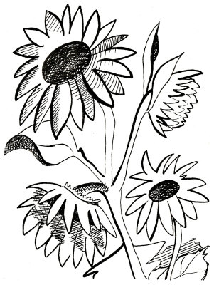 Sunflower Line Drawings Amazing Flowers - ClipArt Best - ClipArt Best