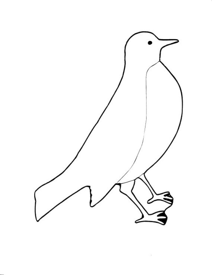 Bird Outline Images & Pictures - Becuo
