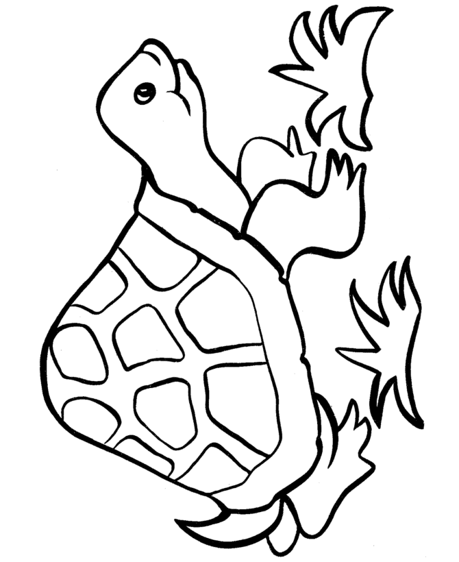 Easy Shapes Coloring Pages | Free Printable Happy Turtle Easy ...