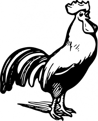 Download Rooster clip art Vector Free