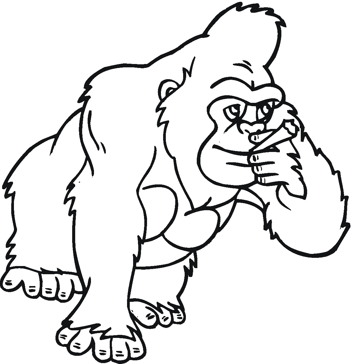 Gorilla Images Free Cliparts co