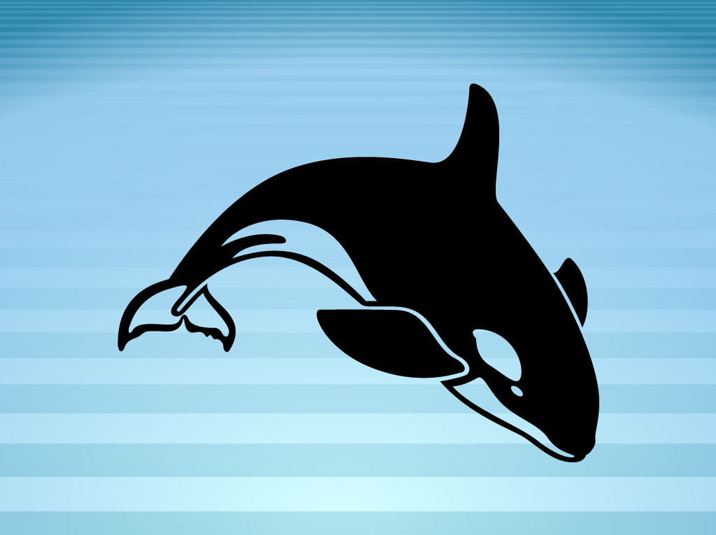 Free Download Orca The Killer Whale