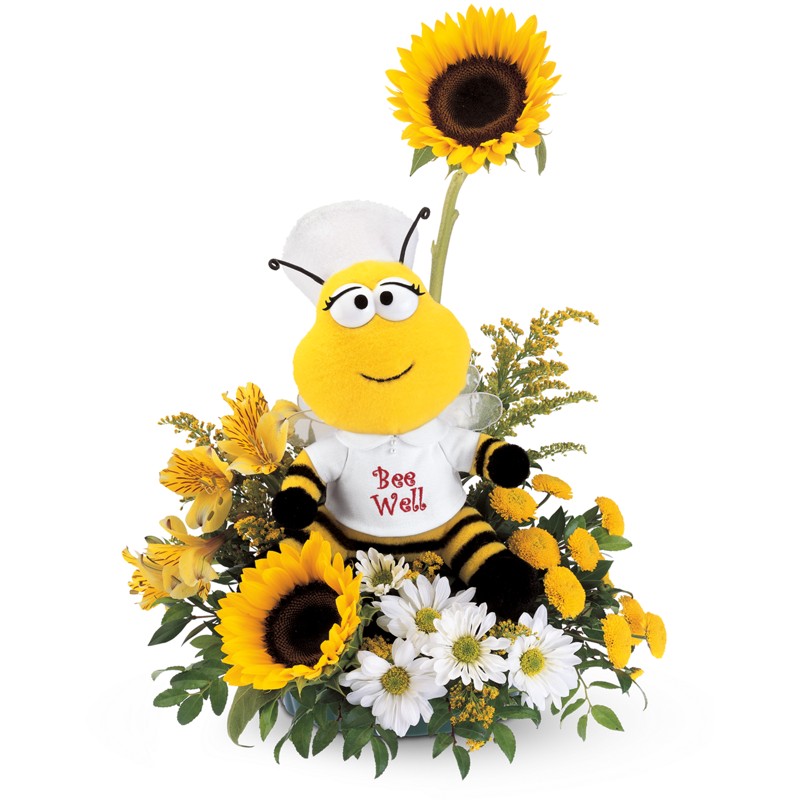 Get Well Flowers & Gifts at Florist Express