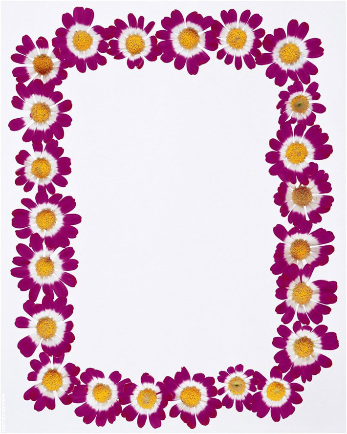 Purple Flowers Frame Borders Design 2014 -Page Border Designs