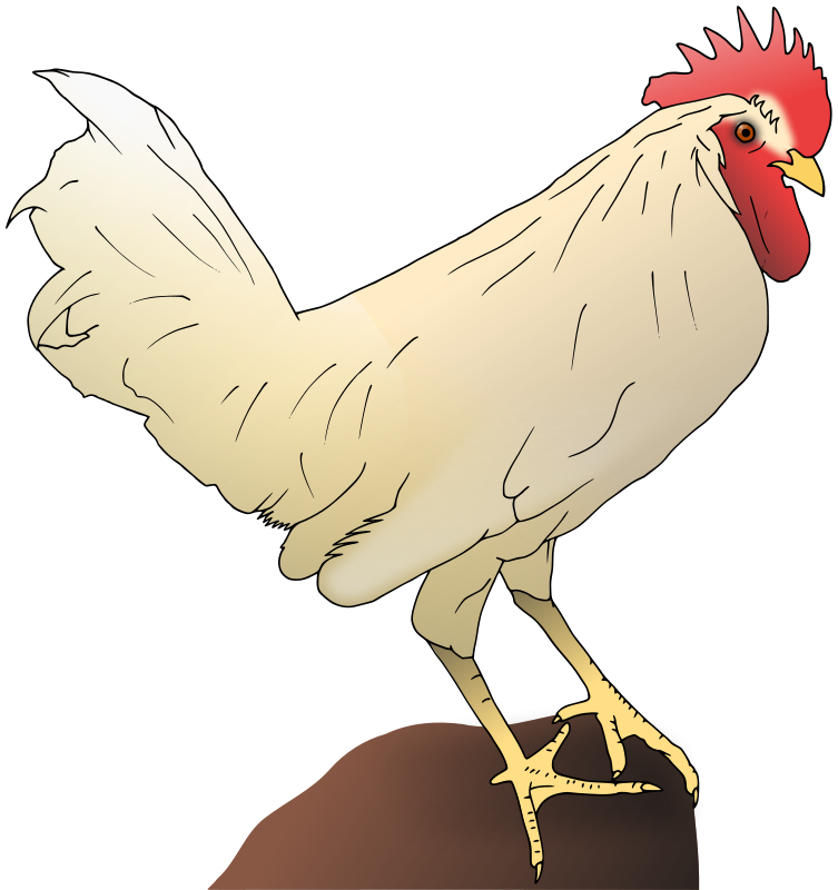 Chicken-RoundCartoon Clip Art Download