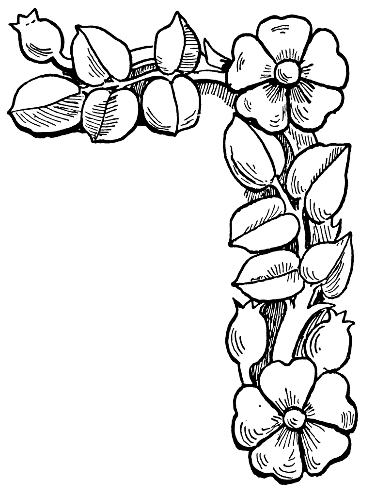 clipart flower coloring page - photo #17