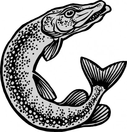 Fish Outline clip art Vector clip art - Free vector for free download