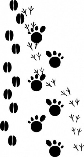 Footprints clip art Vector | Free Download