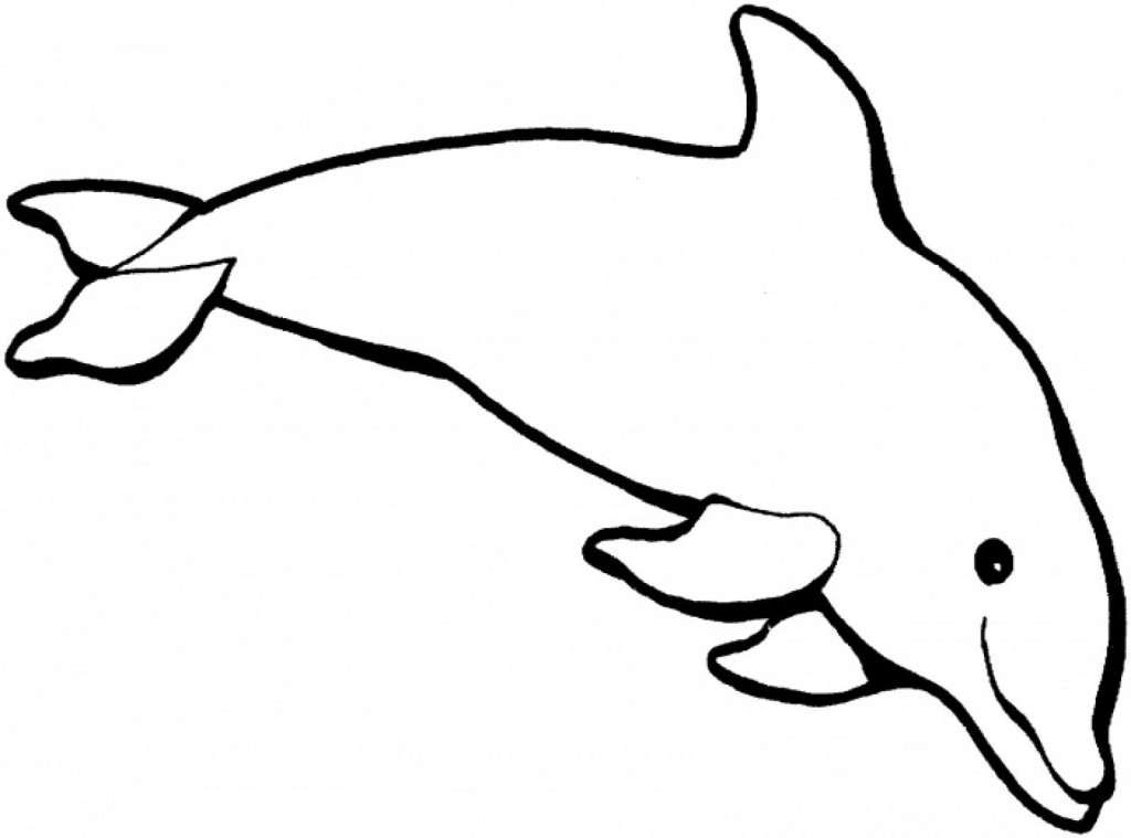 Dolphin Printable Coloring Pages | Laptopezine.