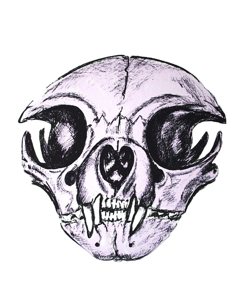 Evie Kemp wall decal - Cat Skull | Wanda Harland Design Store